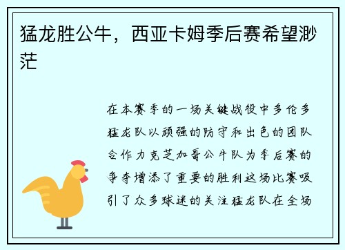 猛龙胜公牛，西亚卡姆季后赛希望渺茫